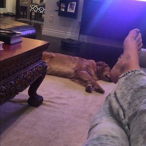 Meet your Posher, Daniela